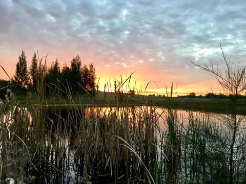 Madigan Wine Country Cottages - South Australia Travel 14