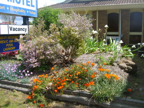 Albury City Motel - South Australia Travel 29