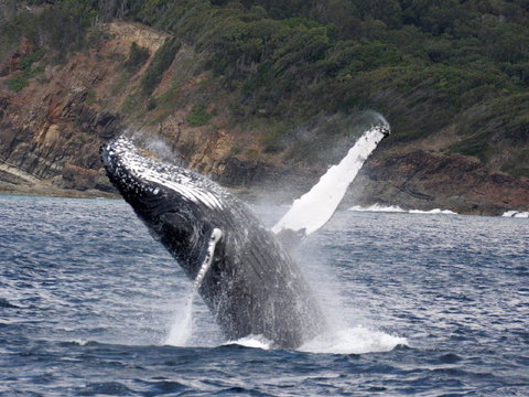 Braemar 9 - South Australia Travel 8