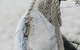 Salt At Shoal Bay - thumb 16