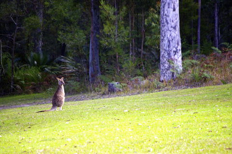 Jackson Ranch By Bannisters - South Australia Travel 31