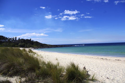 Jackson Ranch By Bannisters - South Australia Travel 32