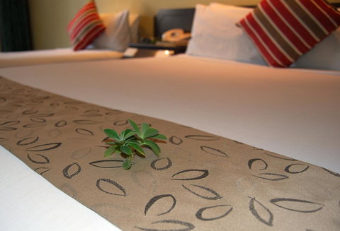 Stay At Alice Springs Hotel - South Australia Travel 14