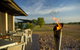 Wildman Wilderness Lodge - thumb 5