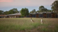Book Point Stuart Accommodation Vacations South Australia Travel South Australia Travel