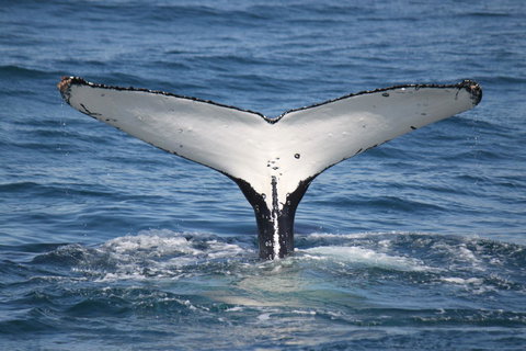 Ingenia Holidays Eden Beachfront - South Australia Travel 37