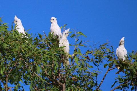 Aurora Kakadu Lodge - South Australia Travel 9