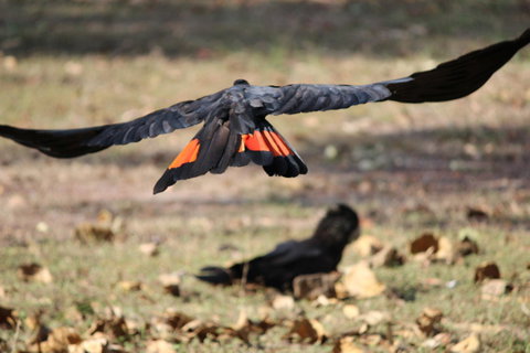 Aurora Kakadu Lodge - South Australia Travel 10