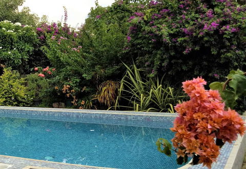 Arafura Blue - South Australia Travel 27