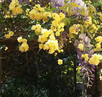 Bowral Road Bed and Breakfast - South Australia Travel