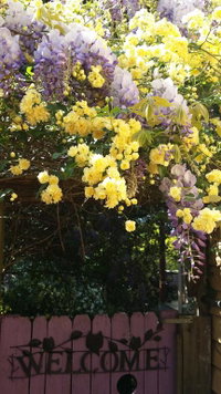 Bowral Road Bed and Breakfast