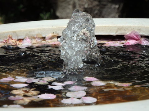 Bowral Road Bed And Breakfast - South Australia Travel 2