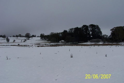 Brae Lossie - South Australia Travel 2