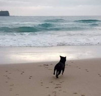 Breakers at Mudjimba Beach - South Australia Travel
