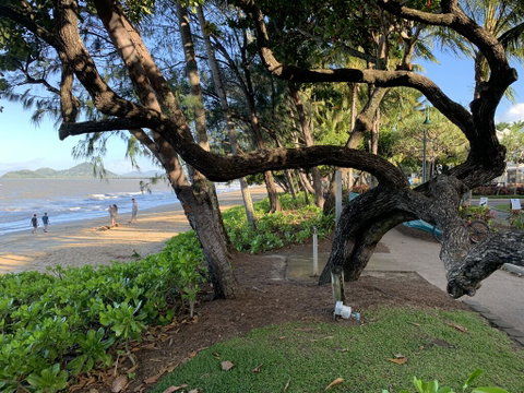 Cairns Palm Cove Studio - South Australia Travel 3