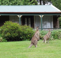 Cedar Lodge Cabins - South Australia Travel