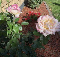 Central Tranquility - South Australia Travel