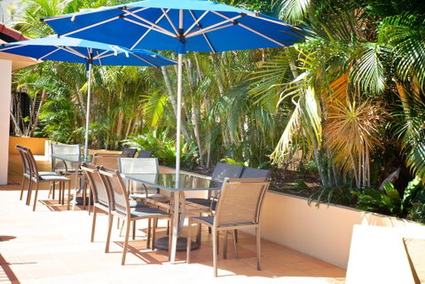 Chevron Palms - South Australia Travel 3