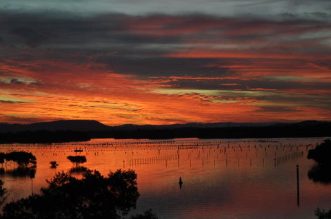 CHILL-OUT LAKESIDE @ FORSTER - South Australia Travel 3