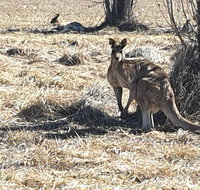 Clansman Motel - South Australia Travel