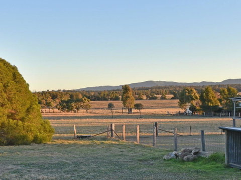 Clydesdale Cottage On Talga With Real Clydesdale Horses - South Australia Travel 1