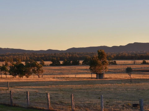 Clydesdale Cottage On Talga With Real Clydesdale Horses - South Australia Travel 3