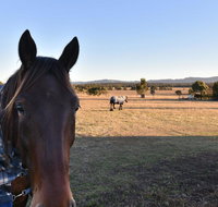 Clydesdale Cottage on Talga with real Clydesdale Horses - South Australia Travel