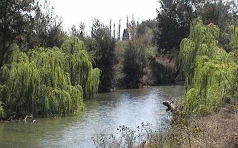 Colonial Inn Motel - South Australia Travel 3