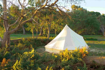 Coonawarra Bush Holiday Park with South Australia Travel