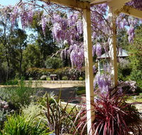 Country Charm Retreat BB - South Australia Travel