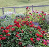 Country Mile Escape - South Australia Travel