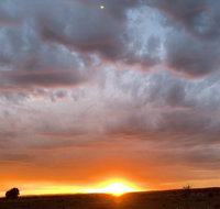 creative 3D sculpture share - South Australia Travel