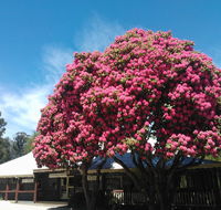 Crossways Country Inn - South Australia Travel