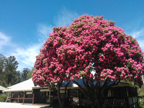 Crossways Country Inn - South Australia Travel 0