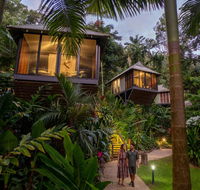 Daintree Ecolodge - South Australia Travel
