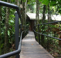 Daintree Wilderness Lodge - South Australia Travel