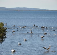 Denmark Waters BB - South Australia Travel