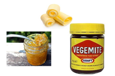 Dolphin Retreat Bunbury YHA - South Australia Travel 2