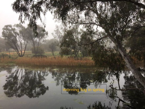 Donald Riverside Motel - South Australia Travel 1