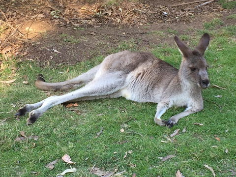 Eden Golf View Motel - South Australia Travel 2
