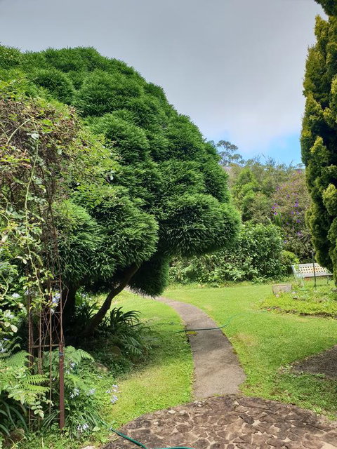 English Gardens - Forest Spa Suite - South Australia Travel 0