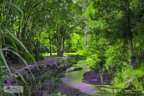 Book Esk Accommodation South Australia Travel South Australia Travel