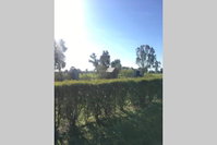 Book Benalla Accommodation Vacations South Australia Travel South Australia Travel