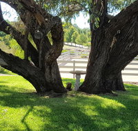 Farm Stay Studio - South Australia Travel