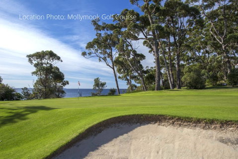 Fathoms 1 - Mollymook - South Australia Travel 1