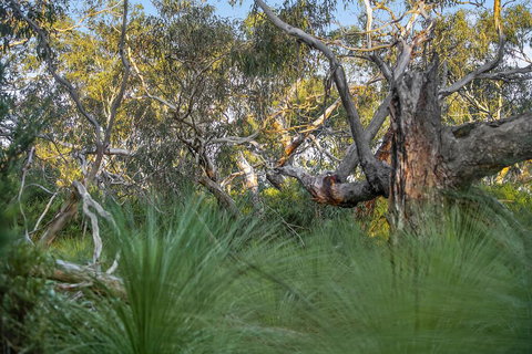 Faulty Towers - South Australia Travel 2