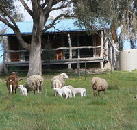 Gaddleen Grove Cottages - South Australia Travel