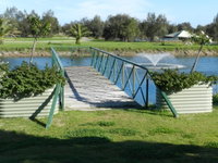 Golden Ponds