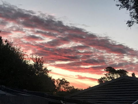 Guinevere - South Australia Travel 2