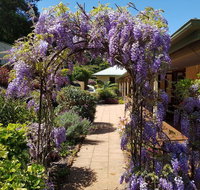Gumtree House Montville - South Australia Travel